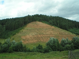Заинск